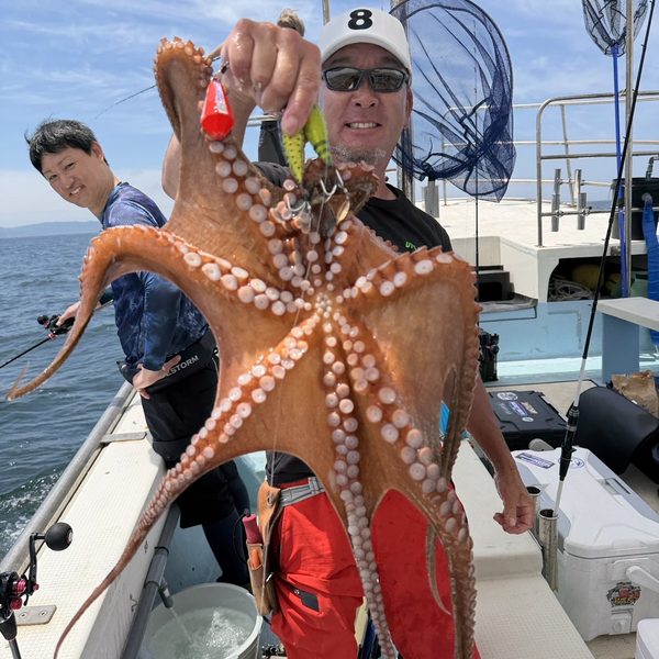なかにし丸 江井ヶ島 マダコ釣果