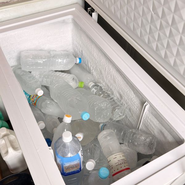なかにし丸 氷あり 釣果保冷